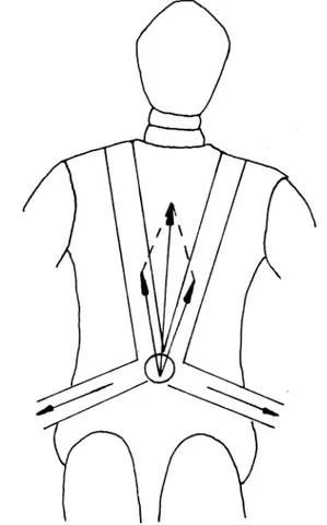 Figur 5 Krafternas riktning när fyrpunktsbältet belastas. Höftbandet dras upp i buken