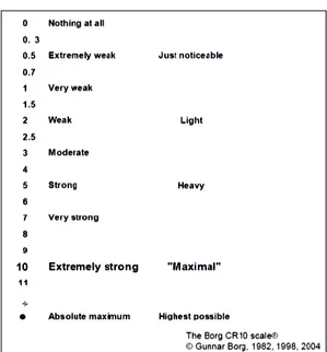 Figure 4: CR10 rating scale with verbal anchors.  