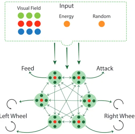 Figure 2. Overall connections of the neural networks of the agents.