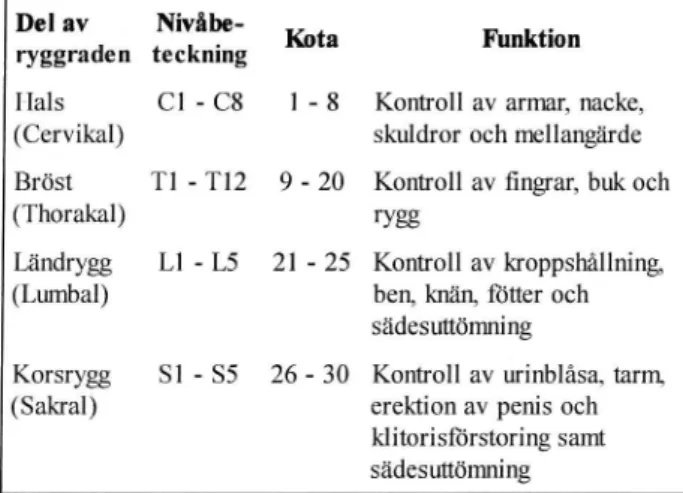 Tabell 2 Nervfunktioner för olika delar av ryggmärgen Del av NWålie- Kota Funktion