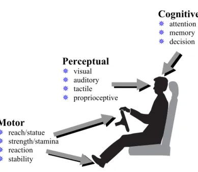 Figure 5 Overview of functional abilities used by a driver. 