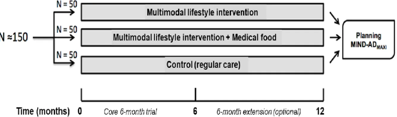 Figure 1: Design of the MIND-AD trial. Copied with permission from the authors (Trial  registration: ClinicalTrials.gov NCT03249688) 