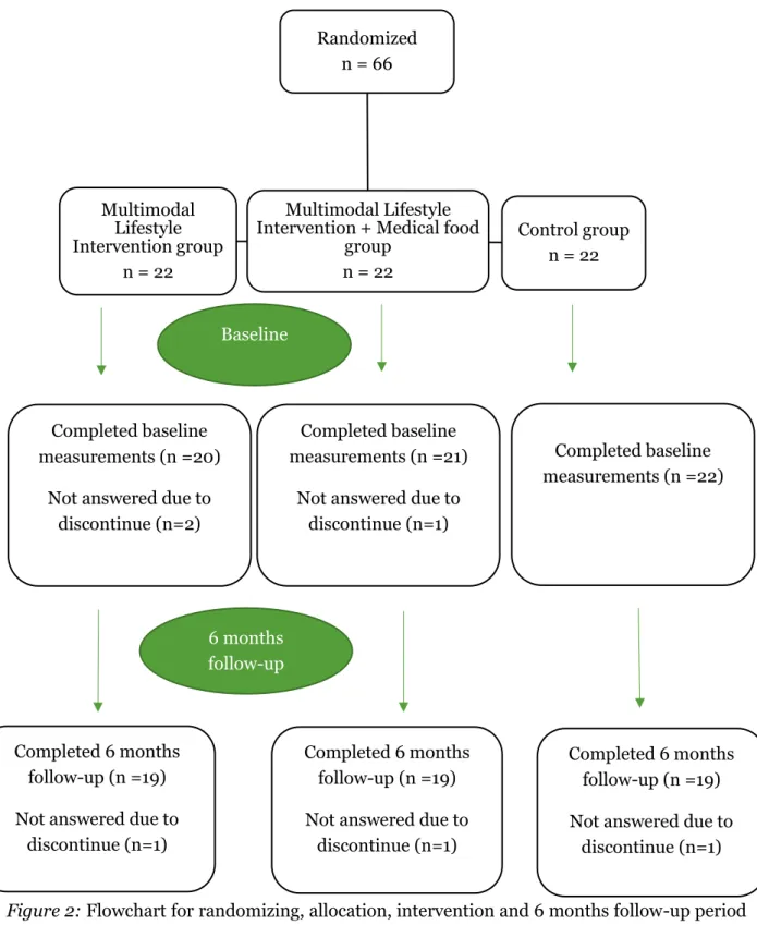 Figure 2: Flowchart for randomizing, allocation, intervention and 6 months follow-up period  for the MIND-AD study 