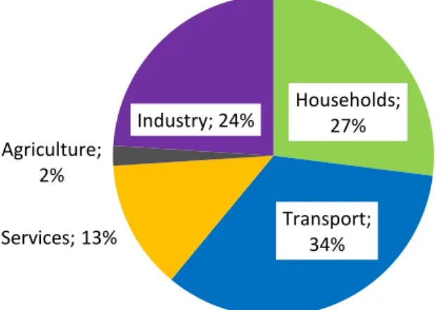 Figure 3.  Final energy consumption by sector in 2009 [19].