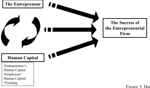 Figure 3. Human Capital.