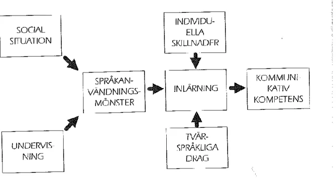 Figur 1: Schematisk modell för språkinlärning av Åke Viberg (2004:16).   