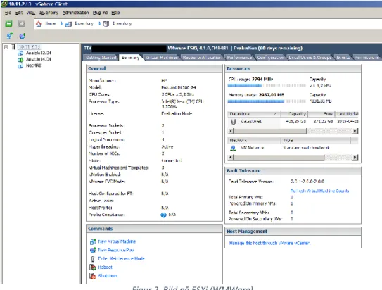 Figur 2. Bild på ESXi (WMWare) 