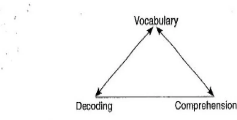 Figur 1. The Golden Triangle of Reading Skill (Perfetti 2010:293). Samband mellan  avkodning, ordförråd och förståelse