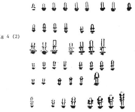 fig 3. I övrigt skiljer sig rördubben principiellt inte från stift-