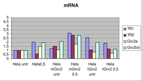Figure 11. Expression of mRNA obtained by qRT-PCR after treatment with 0, 5 µM  goldcompound for 24 h