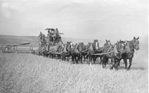 Figure 1. Early mechanized agriculture harvester. [98] 