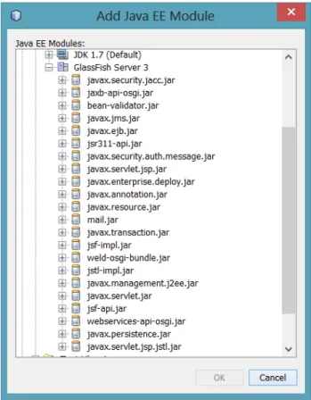 Figure 5.2: GlassFish Server 3 Libraries 