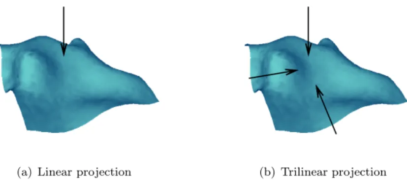 Figure 2.4: Simple illustration of different projections. (a) Linear projection. Uses only one axis of projection