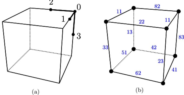 Figure 2.11: (a) The edges allowing creation of vertex in a voxel and the index of the vertex, corresponding to the low nibble of the edge enumeration