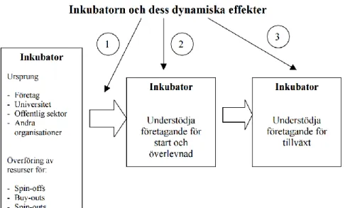 Figur 1: Illustration av effekterna och dynamiken av en Inkubator och dess delar  (Lidelöf och Löfsten, 2005)