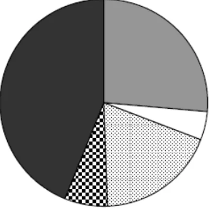 Figur 2. Finansiering av MIA-projektet. 