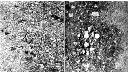 Fig.  1 7  (vänster).  Amiesite,  ytan  sliten  n .   9.  1931.
