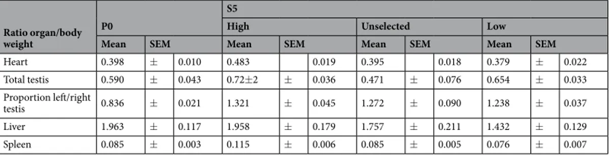 Table 1.  Mean organ weight in percent of body weight (+/− SEM) in the parental generation (P0) and the fifth  generation (S5) selected for “High” or “Low” fear of humans, or unselected.