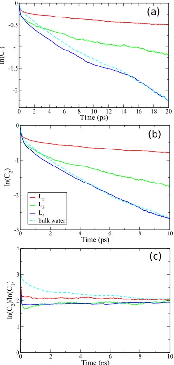 FIG. 3. The reorientation correlators (a) C 1 and (b) C 2 in different layers and in bulk water