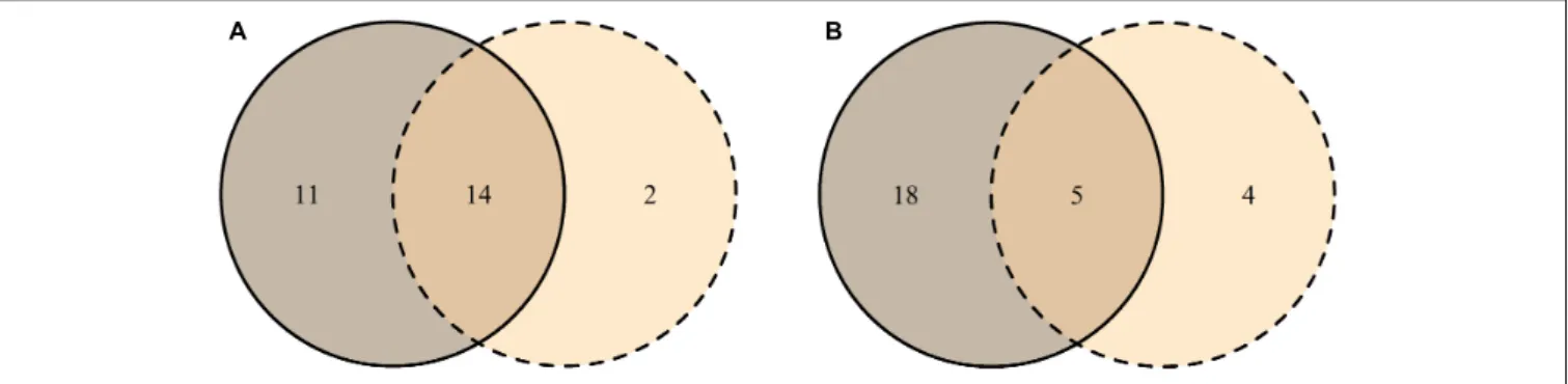 FIGURE 4 | Venn diagrams representing the distribution of unique MTs in bark (solid line) and xylem (dashed line), and MTs shared between the two tissues (overlapping area) based on the presence-absence (A) and on the similar abundance in the tissue (B)