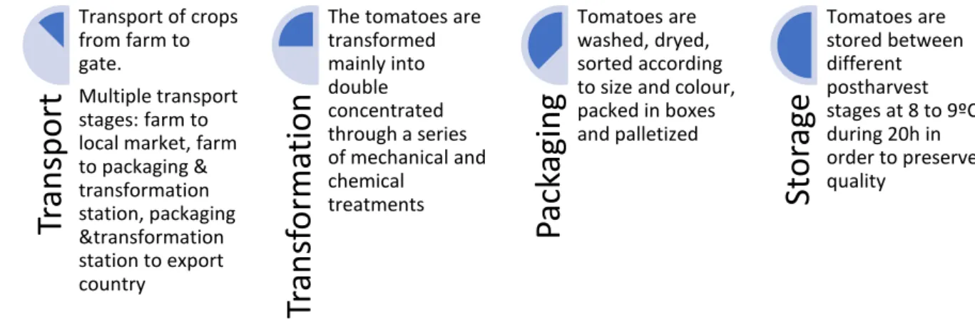Figure 5: Tomato's postharvest phases 