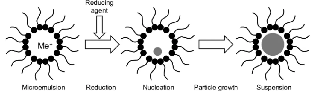 Figure 4.1.  The procedure for nanoparticle preparation by microemulsion technique. 