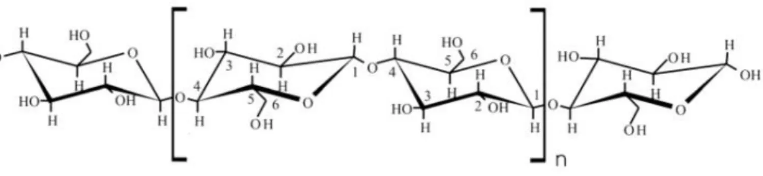 Figur 1: Cellulosamolekylen med atomnumrering [1].