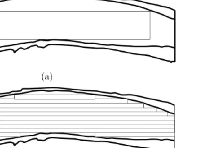 Figure 4.9: a) Flat view of simulated cant from cant-sawing (CS) or board from through- through-and-through sawing (TT)