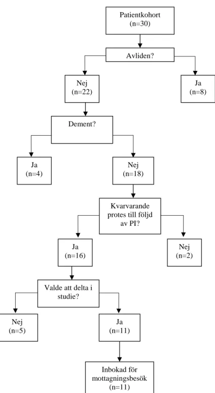 Figur 2. Flödesschema över selektionsprocessen för den kliniska uppföljningen Patientkohort (n=30) Avliden?  Ja (n=8) Nej (n=22) Dement? Ja (n=4) Nej (n=18) Kvarvarande protes till följd av PI? Ja (n=16) Nej (n=2) 