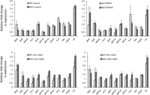 Figure 2.  Expression differences of orexigenic genes in the brain of wild-type versus lepr mutant zebrafish  within each experimental group