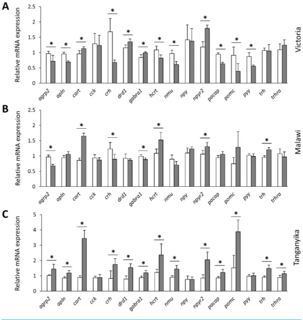 Figure 3 Within lake brain expression differences of appetite-regulating genes between herbivorous and carnivorous haplochromine cichlids at the end of the larval phase