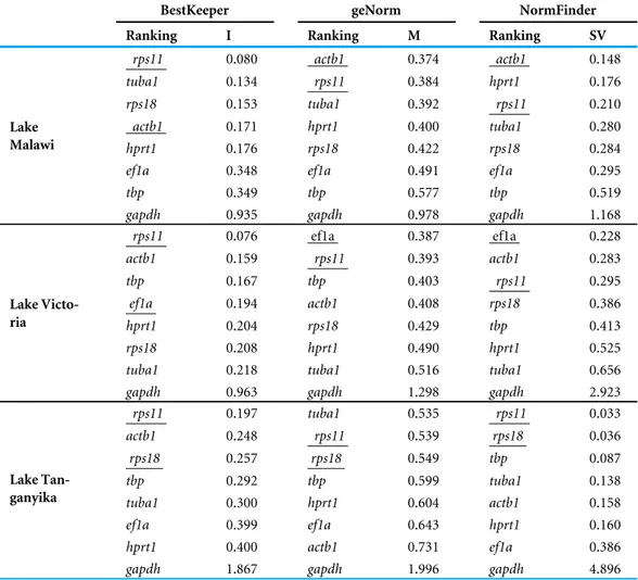 Table 2 Ranking and statistical analyses of reference genes in brain of six haplochromine species from three East African lakes.