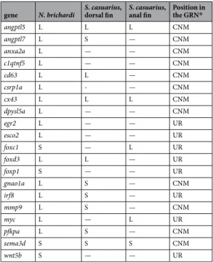 Table 2.  Expression patterns of the tested genes in N. brichardi and the dorsal and anal fins of S