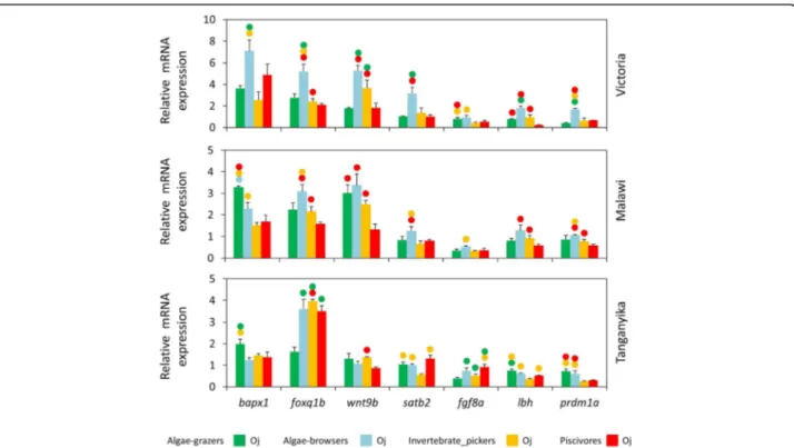 Fig. 3 Oral jaws expression differences of seven target genes between distinct trophic niches in each lake at the end of larval phase