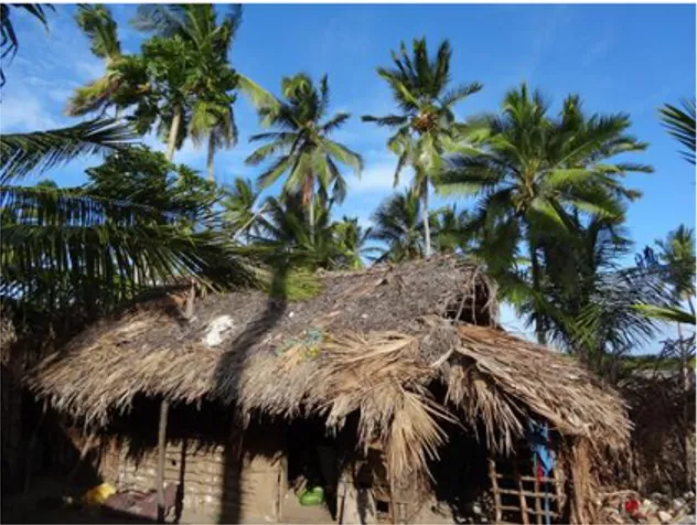 Fig. 9. House in Quirimize with coconut  trees in the background.  