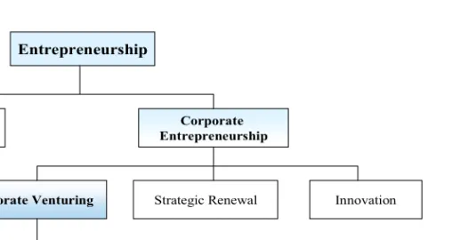 Figure 2. Hierarchy of terminology in corporate entrepreneurship   (Adopted from Sharma &amp; Chrisman, 1999)