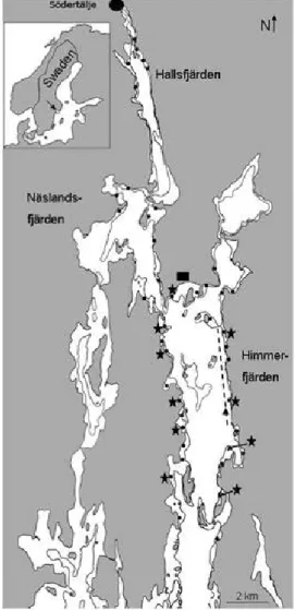 Figure 1. Study area. The dots indicate the location of littoral fishing  stations and the stars are indicating stations where stable isotope data were  collected