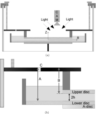 Figure 3.2. Sketches of the experimental set-up, where (a) shows the positions of the camera and light sources and also the coordinates Z and R