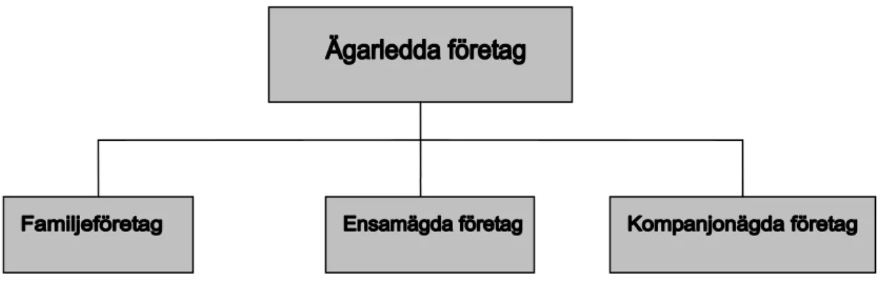Figur 2.1 Ägarledda företag förgrening. Källa: egen figur