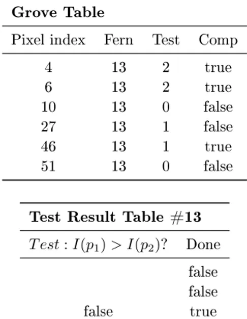 Table 4: Top: The contents (rows) of a Grove Table dening the features of one Fern (with the number 13)