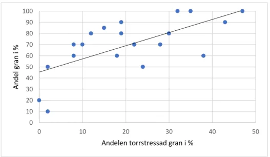 Figur 4 visar ett sambandsdiagram över variablerna andelen torrstressade granar i procent och andelen  gran i procent