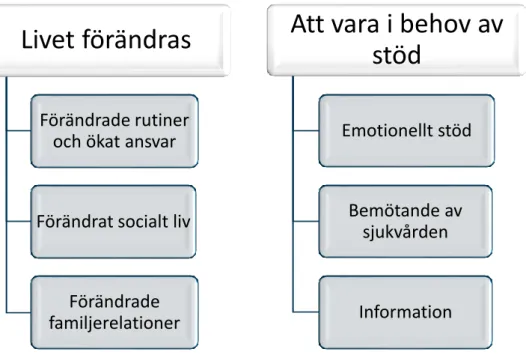 Figur 1. Översikt över tema och subtema. 