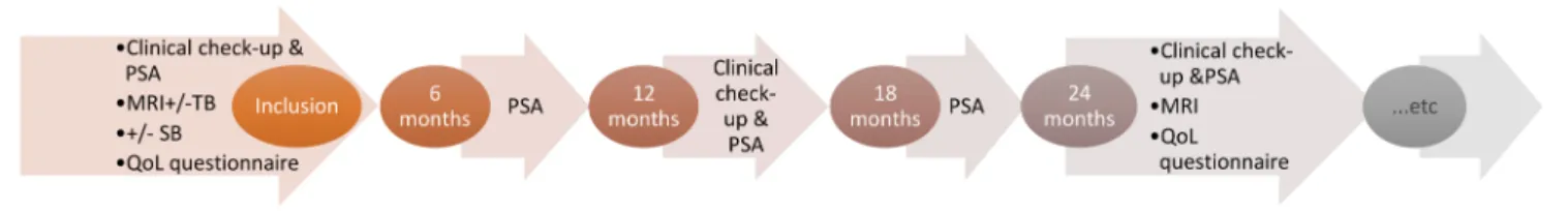 Figure 1  Basic follow-up. PSA, prostate-specific antigen; QoL, quality of life; SB, systematic biopsies; TB, targeted biopsies.