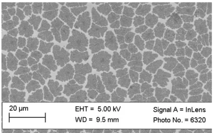 Figure 2.1.4 SEM image of non-finished graphene growth, transferred (see  chapter 3) onto SiO 2 