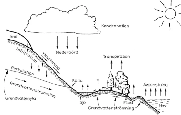 Figur  1.  Det  hydrologiska  kretsloppet  (från  Knutsson  &amp; 