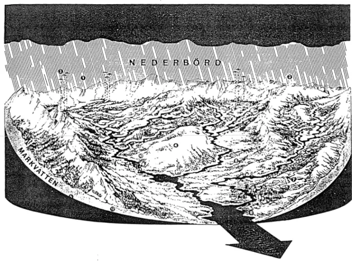 Figur  3.  Ett  avrinningsområde  (eller  flodområde)  avgränsas  genom  vattendelaren