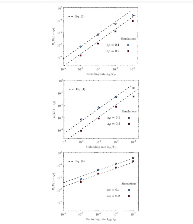 Figure 4. Long time diffusion constant  as a function the unbinding rate k off , when k off is small