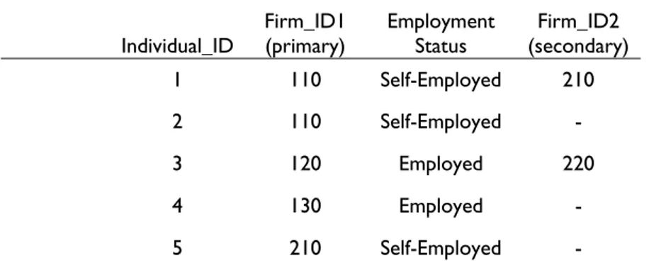 Table 3.2 Possible values on employment variables   Individual_ID Firm_ID1 (primary)  Employment Status  Firm_ID2  (secondary)   1  110  Self-Employed  210   2  110  Self-Employed  -   3  120  Employed  220   4  130  Employed  -   5  210  Self-Employed  - 