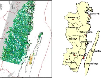 Figur 2.  Området i Kalmar län motsvarar i utsträckning Landsat TM scen 193/20 från 2001-07-25 (grå områden är moln)