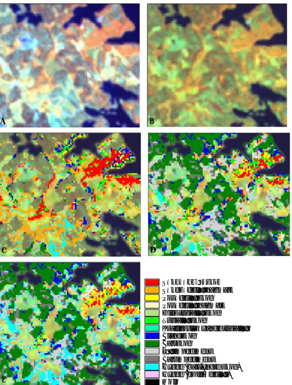 Figur 5. A) Landsat TM 1989-07-07. B) Landsat ETM+ 2001-07-25. Denna bild ligger som bakgrund utanför klassat område i fig c till d